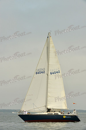 2016 Southern Bay Race Week E_0383