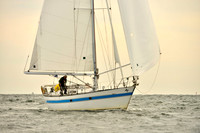 2017 Vineyard Race B_0247