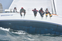 2022 Newport Bermuda_1565