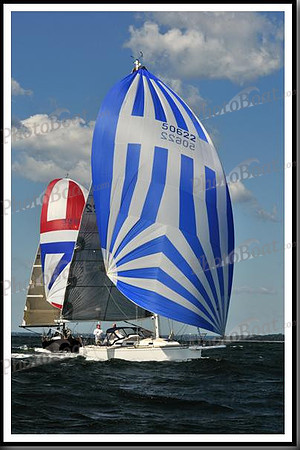 proof_2010_Vineyard_Race_0306