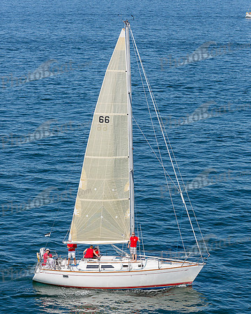 DBP_1266