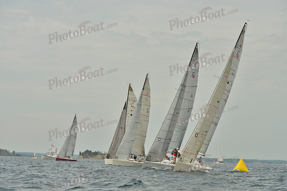 2016 Chester Race Week E_0056