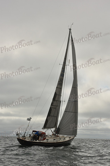 2018 Round Marthas Vineyard_0737