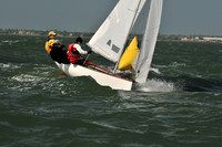 2012 Thistle Midwinters B 784