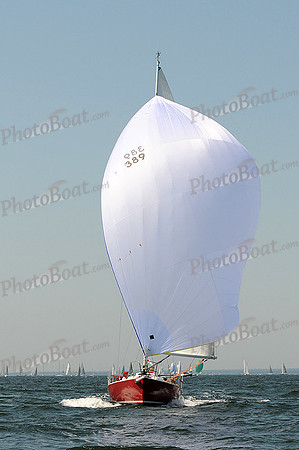 2012 Vineyard Race A 203