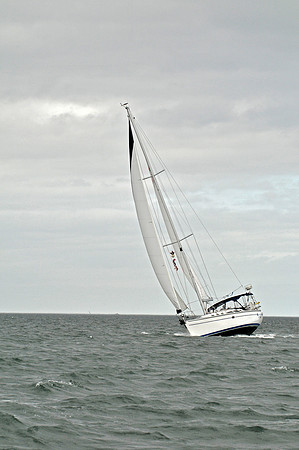 2009 J105 NAs D 1229