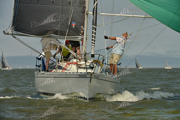 2016 Southern Bay Race Week B_0659