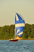 2015 Gov Cup C 546