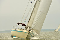 2016 Southern Bay Race Week A_1143