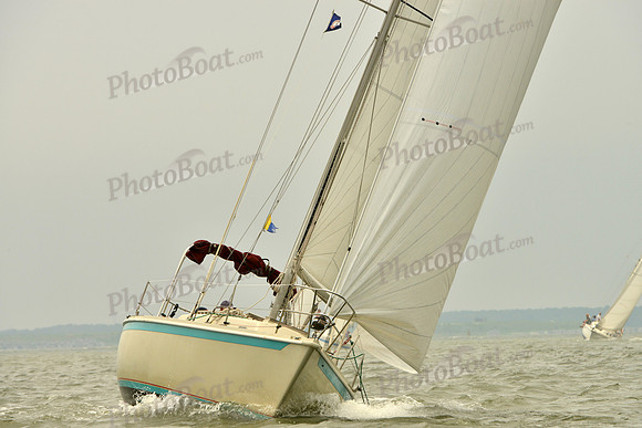 2016 Southern Bay Race Week A_1143
