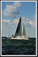 proof_2010_Vineyard_Race_0037