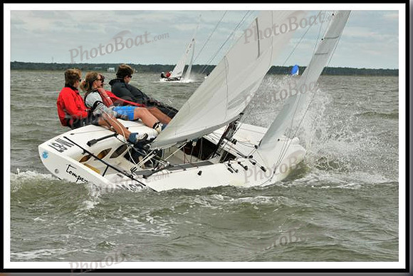 proof_2010_EScows_A 180