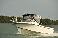 2019 Feb 10 Tampa Bay A_0831