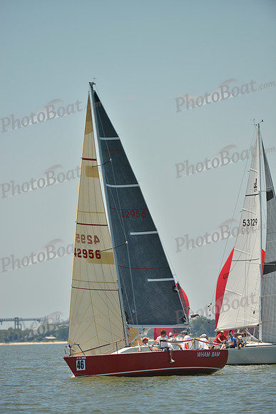 2017 Southern Bay Race Week A_1404