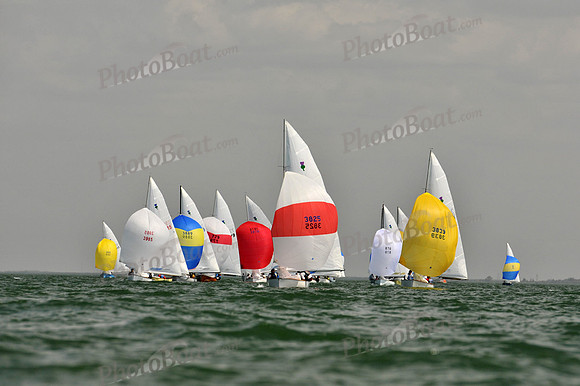 2012 Thistle Midwinters B 1376