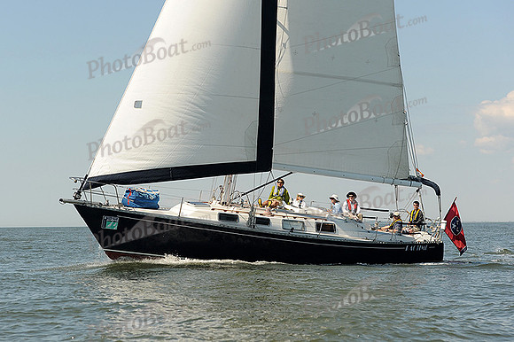2014 Charleston Race Week A 564