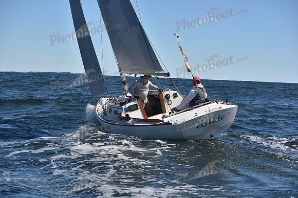 2022 Vineyard Race A_0173