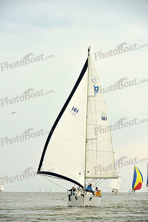 2015 Charleston Race Week E 1338