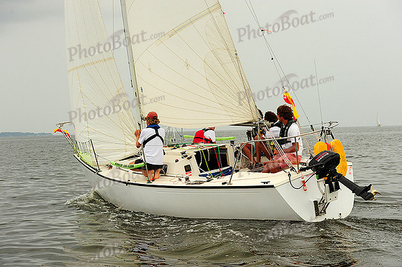 2014 Gov Cup A 979