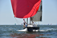 2019 Vineyard Race A_1438