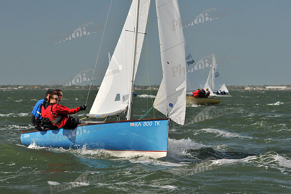 2012 Thistle Midwinters B 581