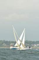 2015 Vineyard Race A 564