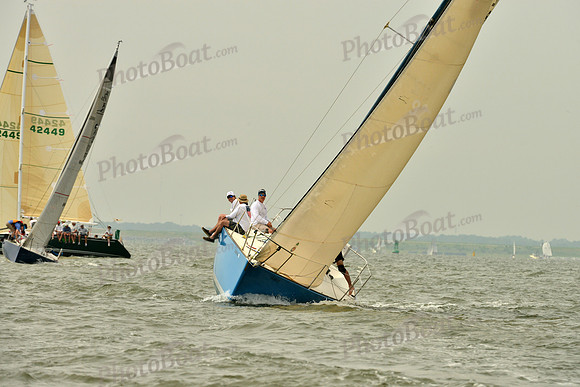2016 Southern Bay Race Week A_0295