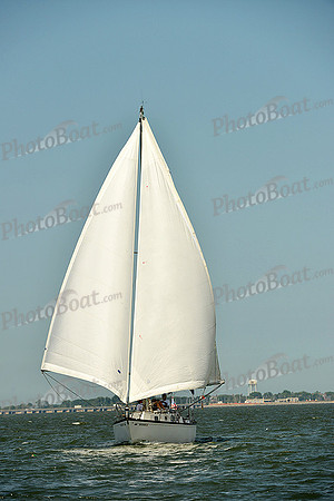 2015 Southern Bay Race Week A 1644
