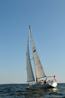 2011 Vineyard Race A 1730
