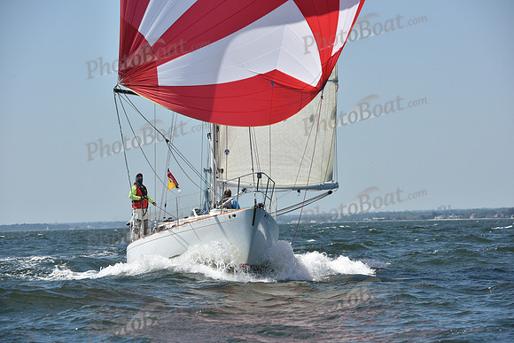 2019 Vineyard Race A_1165