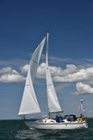 2019 Figawi_0608