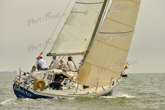 2016 Southern Bay Race Week A_0360