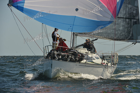 2015 Vineyard Race C 235