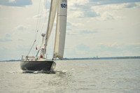 2016 Vineyard Race A_1736