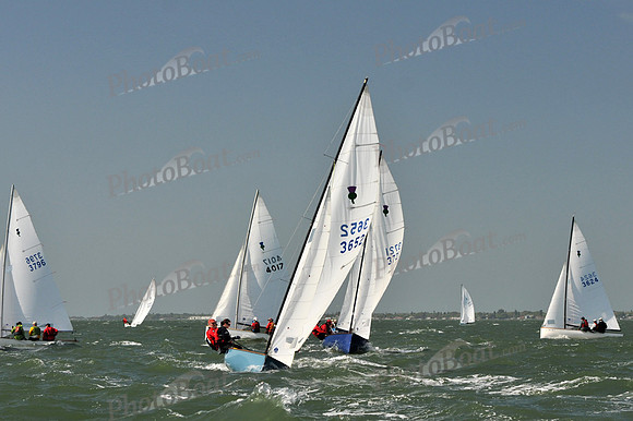 2012 Thistle Midwinters B 587