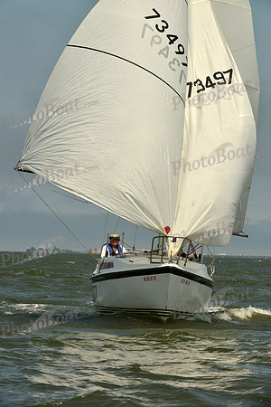 2016 Southern Bay Race Week B_0231