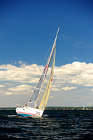 2014 Vineyard Race A 753