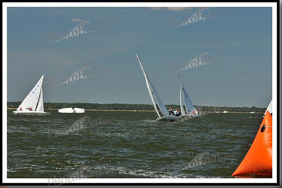 proof_2010_EScows_E 178
