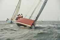 2015 Vineyard Race A 258