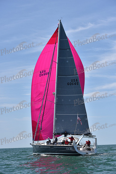 2019 Figawi_1246
