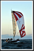 proof_2010_Vineyard_Race_2354