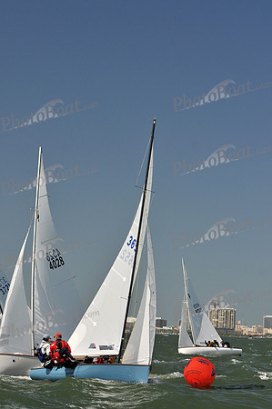 2012 Thistle Midwinters B 984