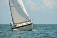 2015 Southern Bay Race Week C 630