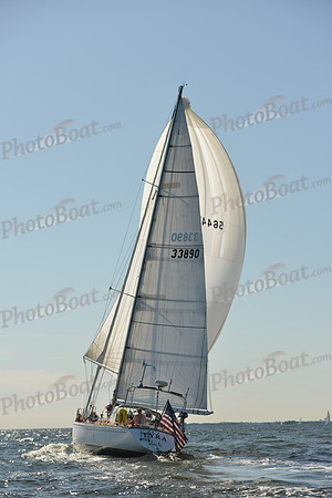 2015 Vineyard Race C 572