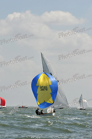 2012 Thistle Midwinters B 1273