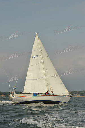 2015 Vineyard Race A 310