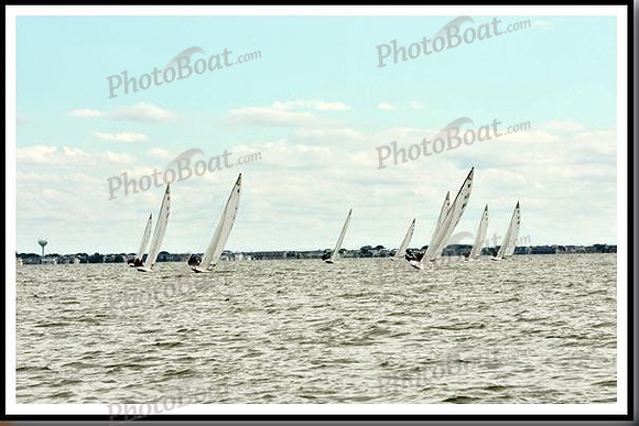 proof_2010_EScows_A 639