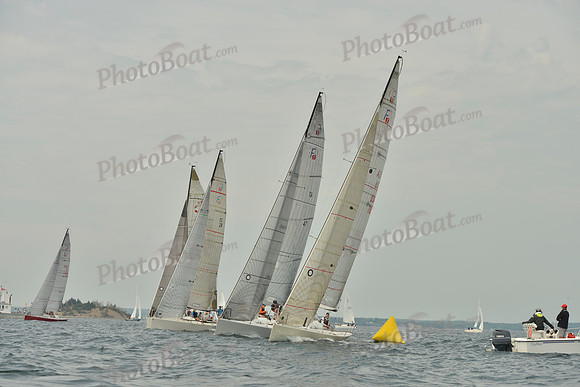 2016 Chester Race Week E_0055