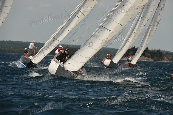 2016 Chester Race Week A_1203