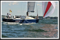 proof_2010_Vineyard_Race_1236